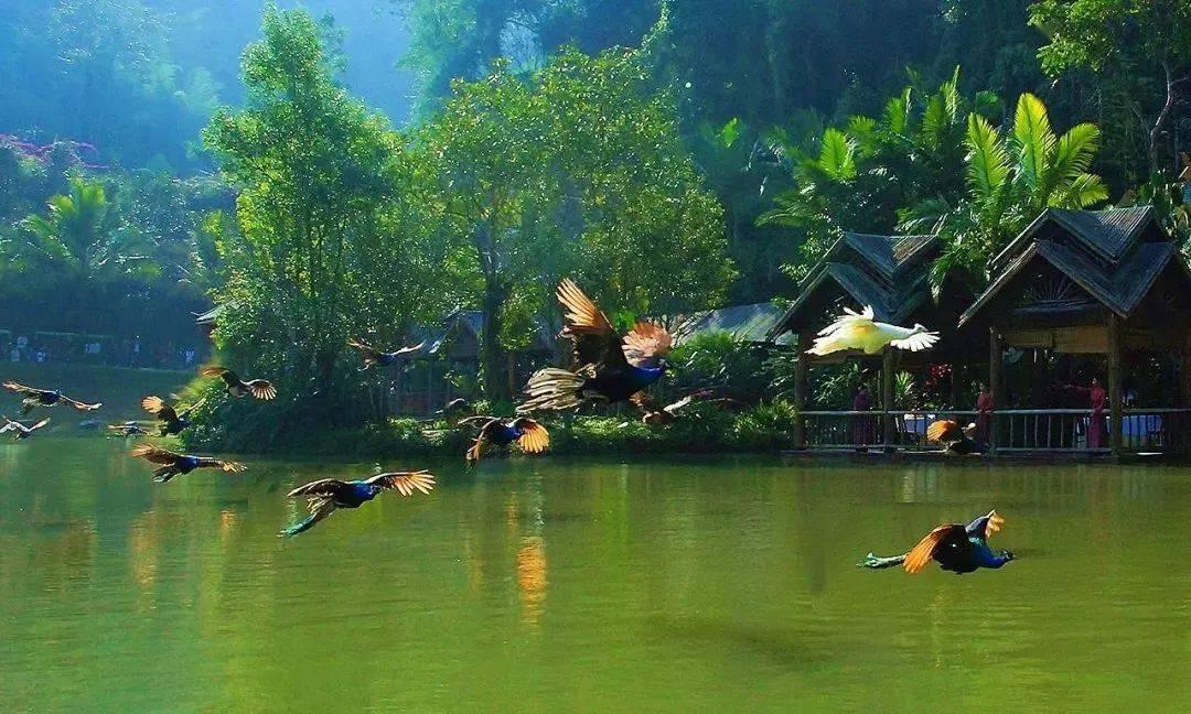 魔法比赛